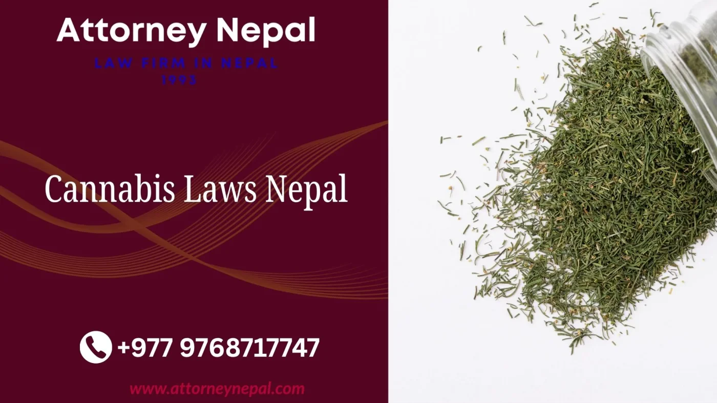 Cannabis Laws Nepal