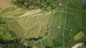 Public Land Encroachment Penalties Nepal